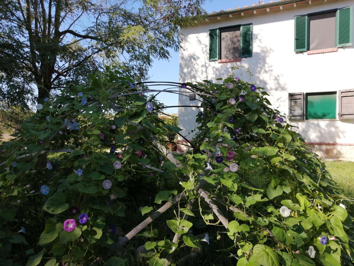 Da Pino Hostal Montemerano Exterior foto